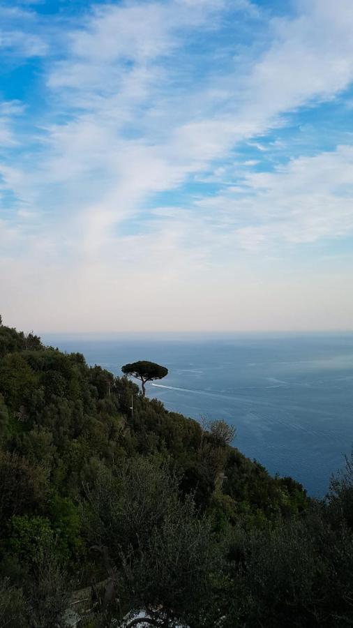Yourhome - Relais Casa Degli Angeli ポジターノ エクステリア 写真